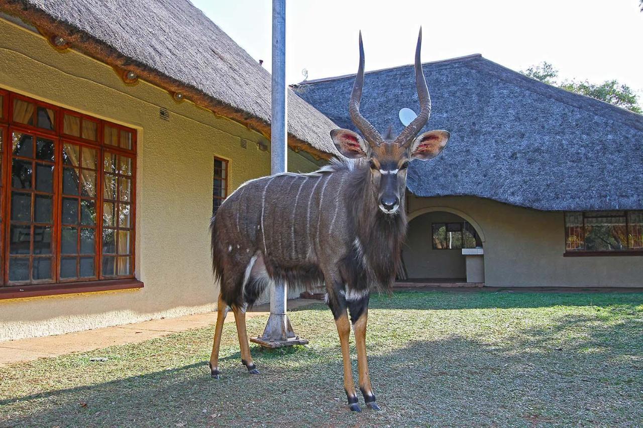 Fish Eagle Guest Farm Villa Phalaborwa Exterior foto